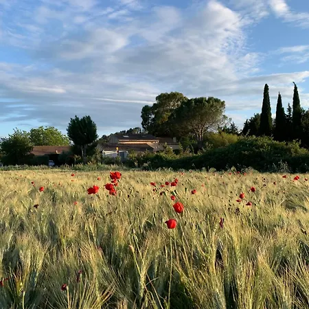 Le Clos D'icelle Premium Et Piscine Apartamento *